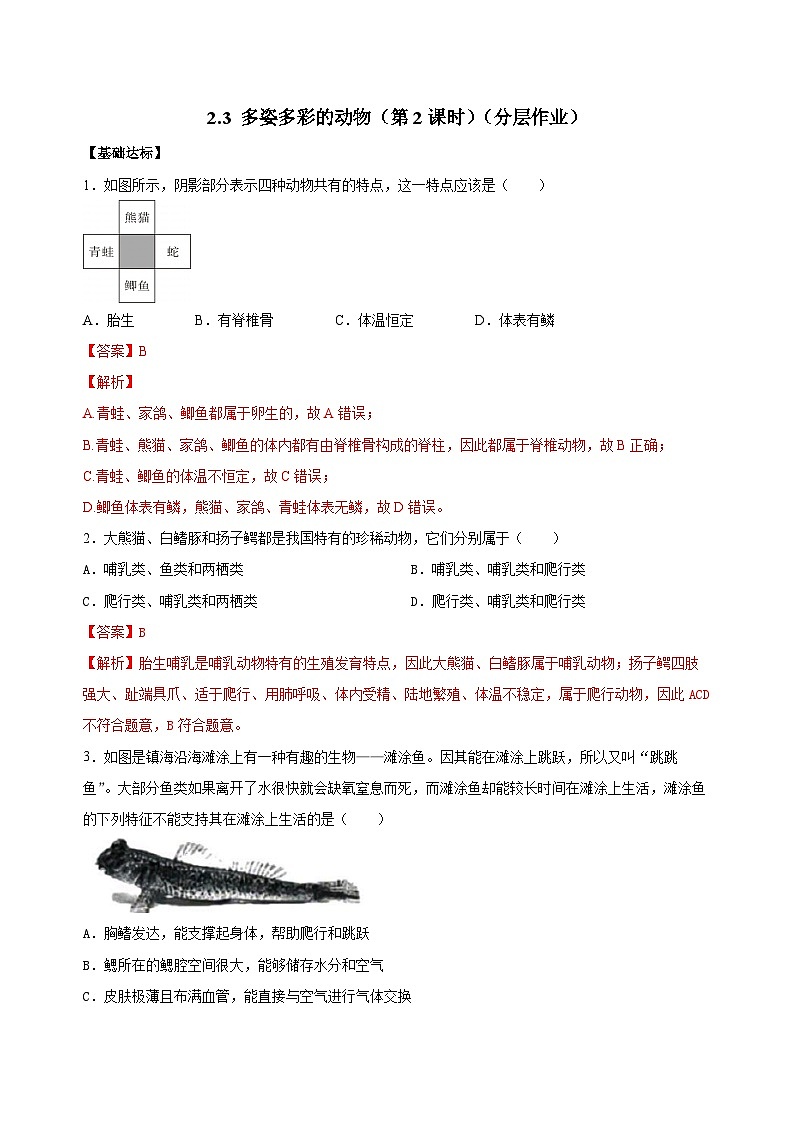 【核心素养】浙教版科学七年级上册 2.3 多姿多彩的动物（第2课时）（教学课件+教学设计+同步练习）01