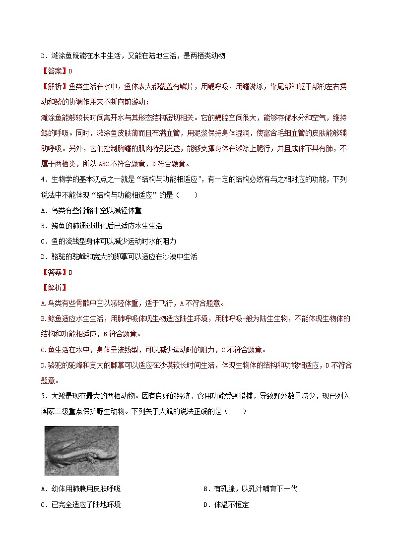 【核心素养】浙教版科学七年级上册 2.3 多姿多彩的动物（第2课时）（教学课件+教学设计+同步练习）02