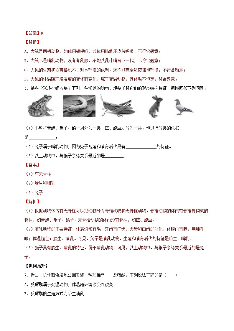 【核心素养】浙教版科学七年级上册 2.3 多姿多彩的动物（第2课时）（教学课件+教学设计+同步练习）03