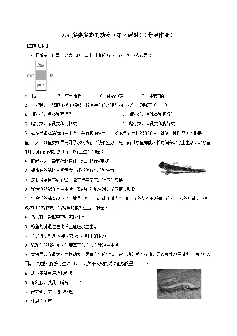 【核心素养】浙教版科学七年级上册 2.3 多姿多彩的动物（第2课时）（教学课件+教学设计+同步练习）01