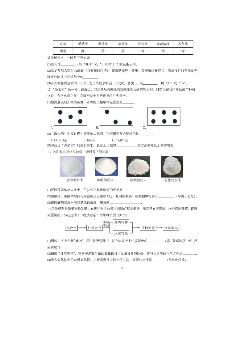 浙江省瑞安市新纪元学校2024-2025学年九年级上学期9月月考科学试题03