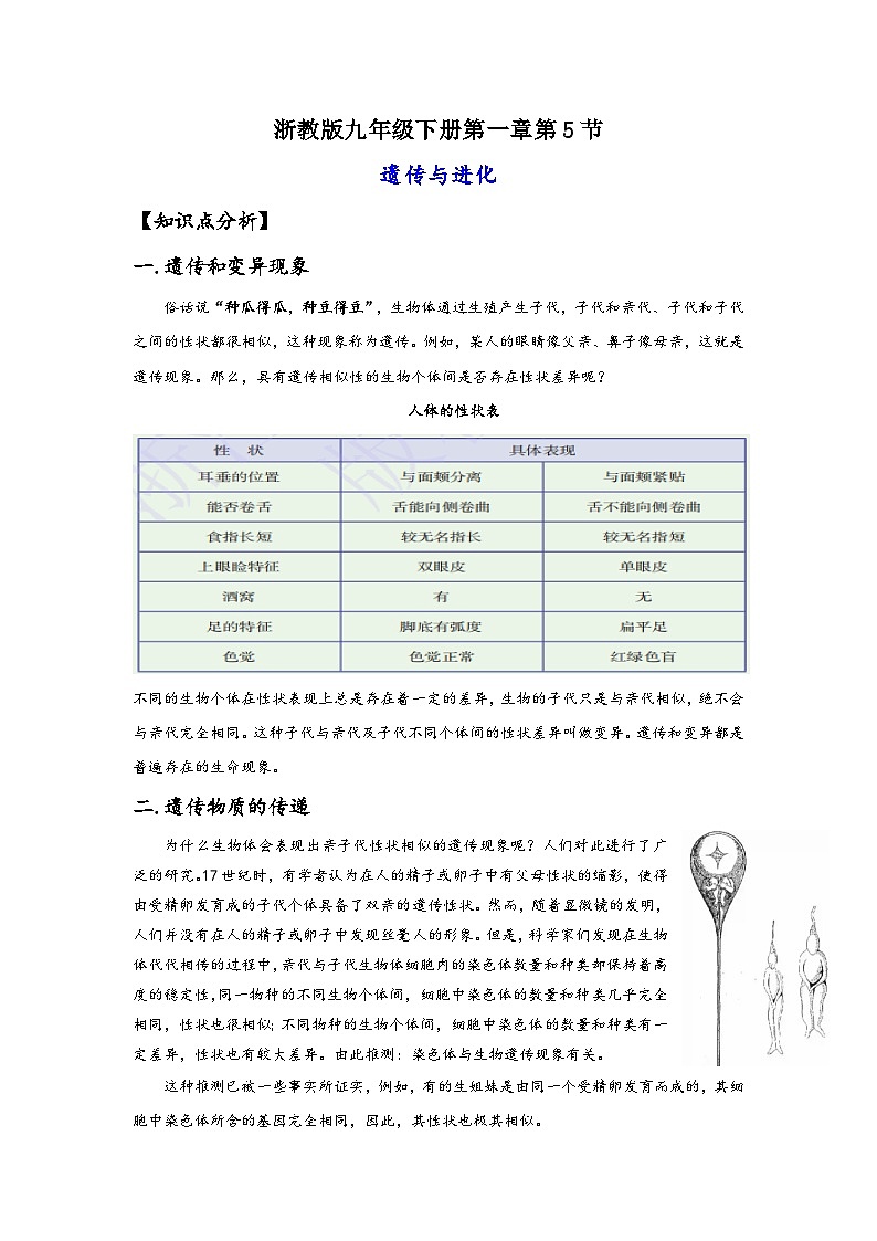 浙教版九年级下册科学讲练课堂1.5遗传与进化(讲义)(原卷版+解析)第1页