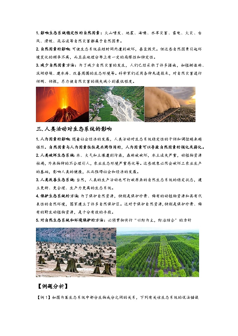 浙教版九年级下册科学讲练课堂2.5生态系统的稳定性(讲义)(原卷版+解析)02