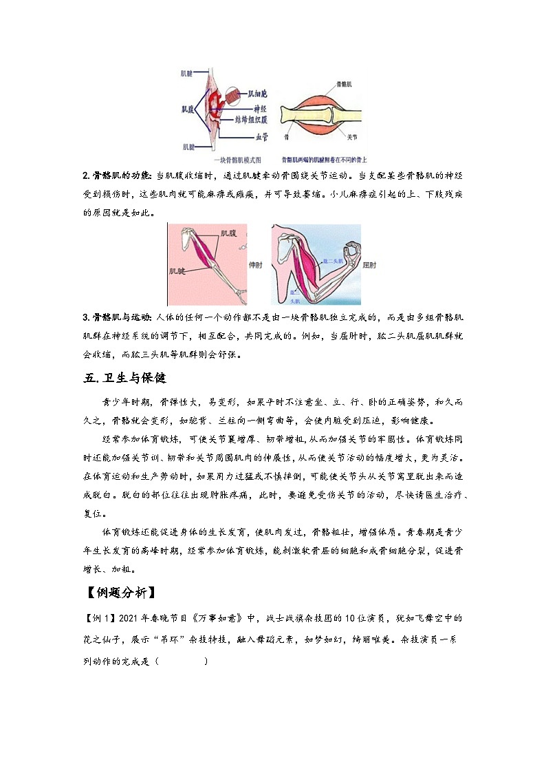 浙教版九年级下册科学讲练课堂3.5人的运动系统和保健(讲义)(原卷版+解析)03