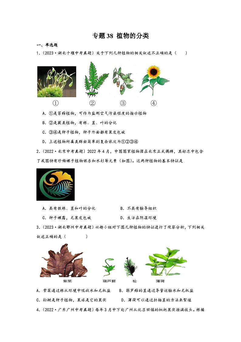 中考科学三年(2021-2023)真题分项汇编(浙江专用)专题38植物的分类专题特训(原卷版+解析)第1页