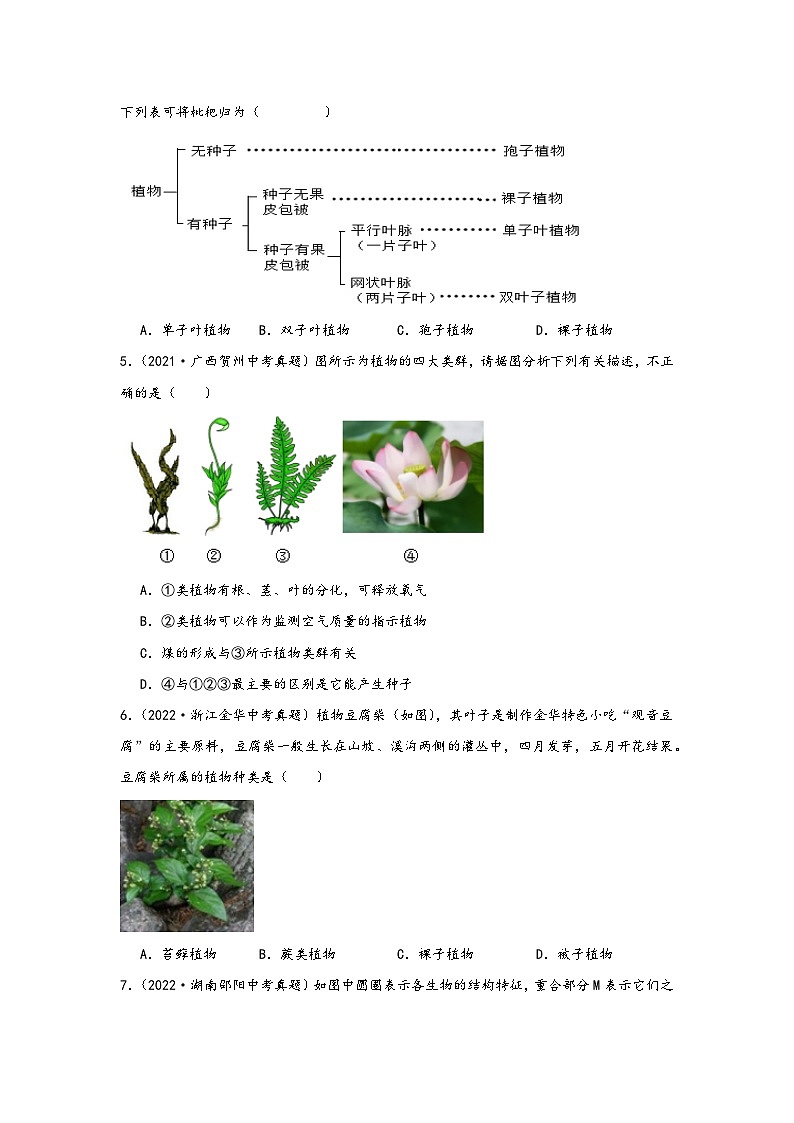 中考科学三年(2021-2023)真题分项汇编(浙江专用)专题38植物的分类专题特训(原卷版+解析)第2页