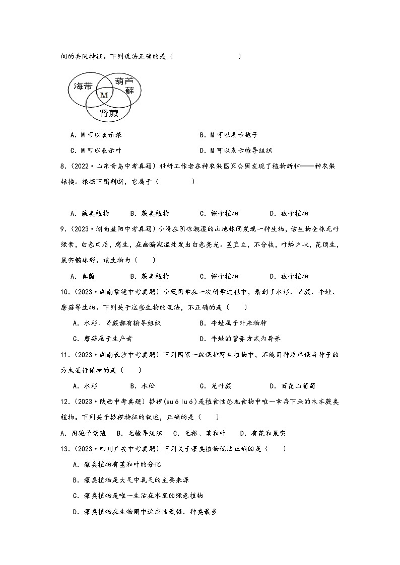 中考科学三年(2021-2023)真题分项汇编(浙江专用)专题38植物的分类专题特训(原卷版+解析)第3页