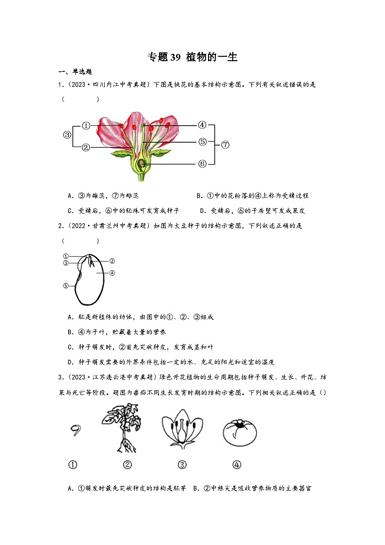 中考科学三年(2021-2023)真题分项汇编(浙江专用)专题39植物的一生专题特训(原卷版+解析)第1页