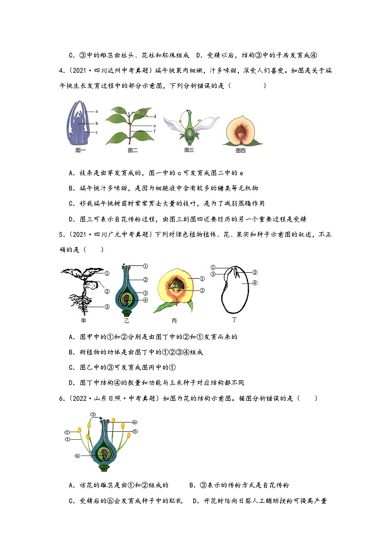 中考科学三年(2021-2023)真题分项汇编(浙江专用)专题39植物的一生专题特训(原卷版+解析)第2页