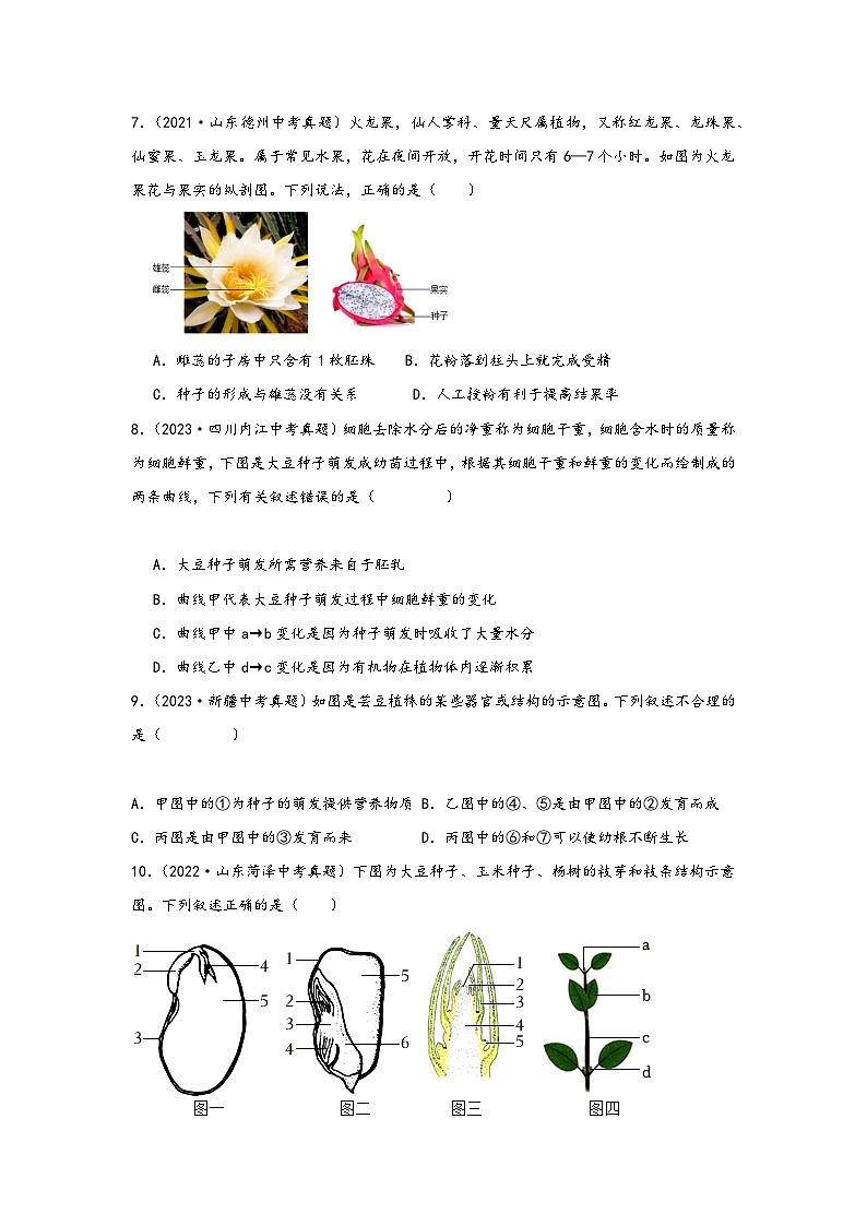 中考科学三年(2021-2023)真题分项汇编(浙江专用)专题39植物的一生专题特训(原卷版+解析)第3页