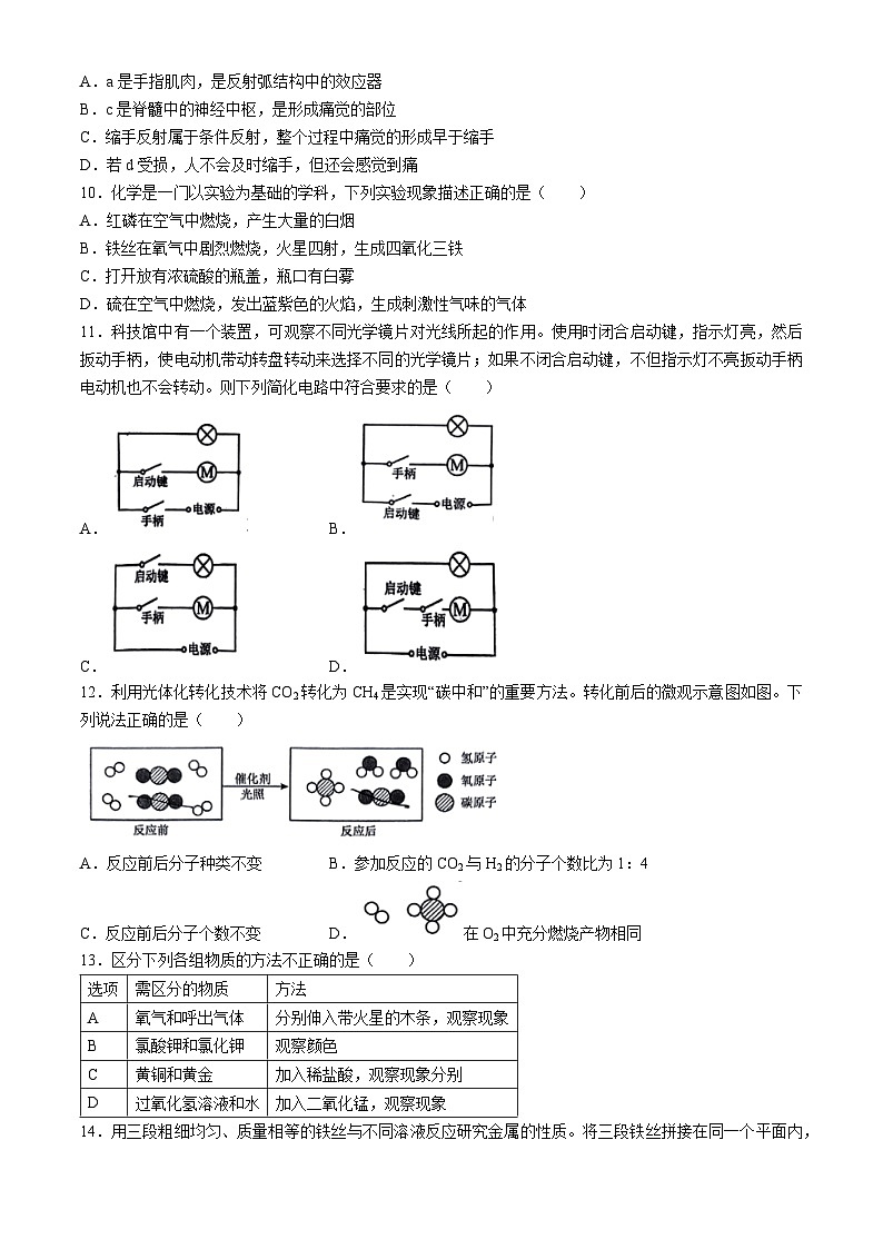 浙江省台州市白云中学2024-2025学年九年级上学期月考科学试卷(无答案)第3页