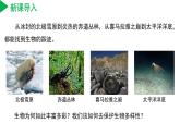 2.5 生物多样性（第1课时）（教学课件）-七年级科学上册同步高效课堂（浙教版）