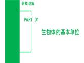 第2章 丰富多彩的生命世界（单元复习课件）-七年级科学上册同步高效课堂（浙教版）