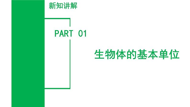 第2章 丰富多彩的生命世界（单元复习课件）-七年级科学上册同步高效课堂（浙教版）第3页