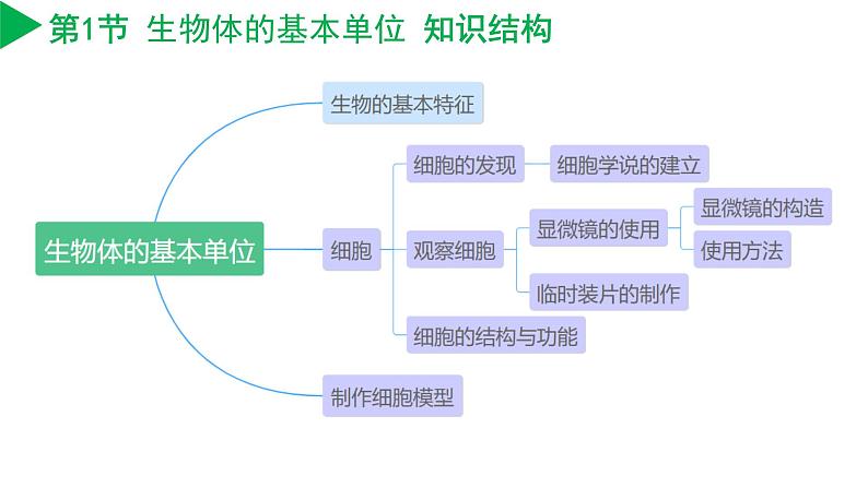 第2章 丰富多彩的生命世界（单元复习课件）-七年级科学上册同步高效课堂（浙教版）第4页