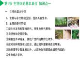 第2章 丰富多彩的生命世界（单元复习课件）-七年级科学上册同步高效课堂（浙教版）