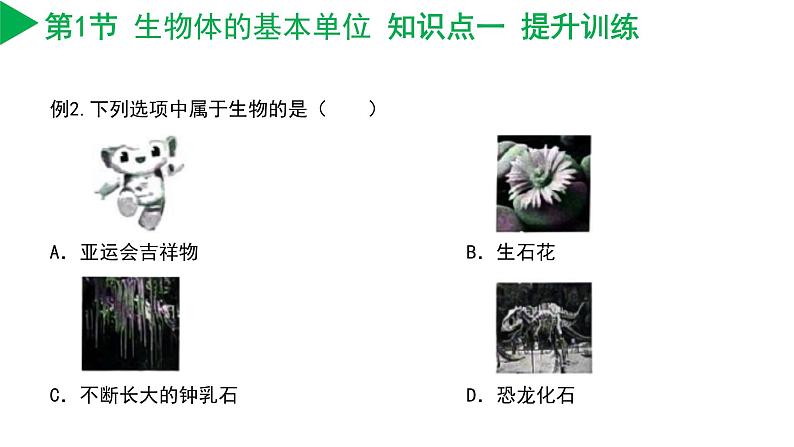 第2章 丰富多彩的生命世界（单元复习课件）-七年级科学上册同步高效课堂（浙教版）第8页