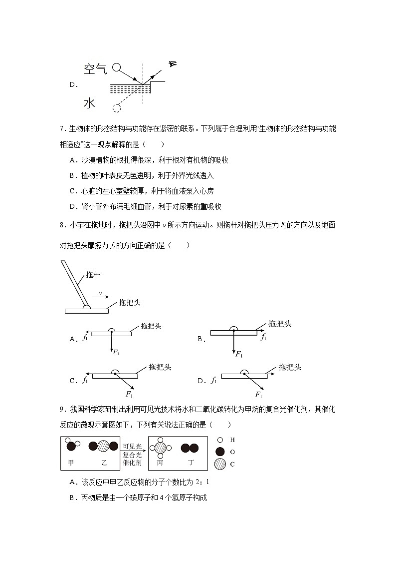 2024年浙江省杭州市临平区中考一模科学试卷第3页