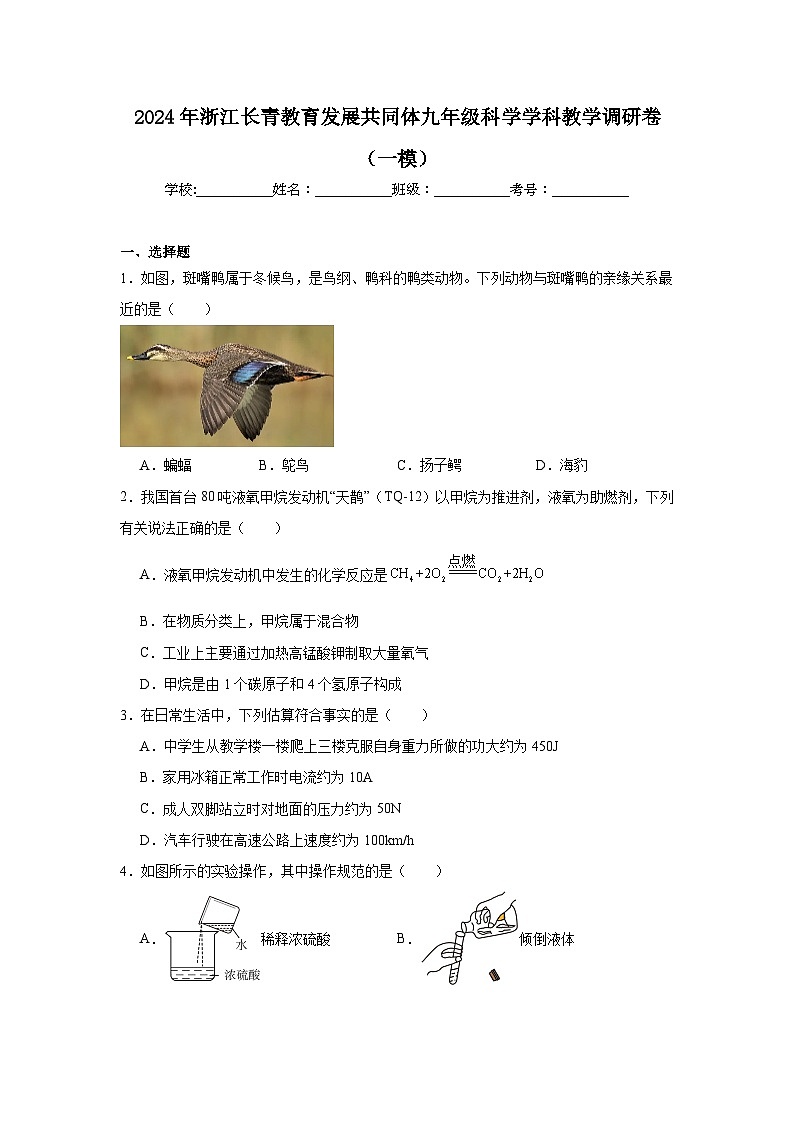 2024年浙江长青教育发展共同体九年级科学学科教学调研卷（一模）第1页