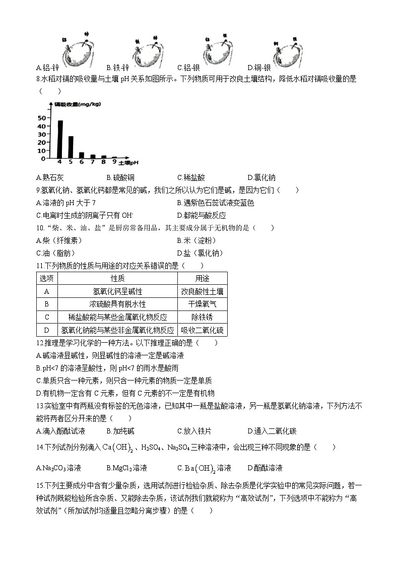 浙江省瓯海区外国语学校2024-2025年九年级上学期月考科学试卷(无答案)02