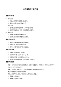 华东师大版（2024）八年级上册2 水在植物体中的代谢教案