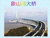 华师大版科学八年级上册第1章 运动和力 复习课件