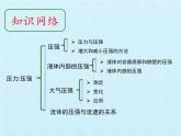 华师大版科学八年级上册第2章 压力 压强 复习课件