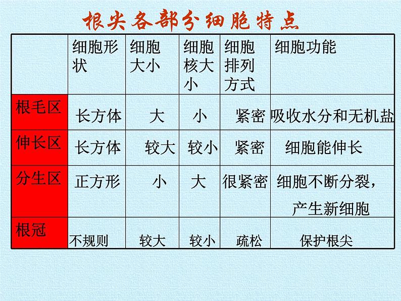 华师大版科学八年级上册第4章 植物的物质和能量的转化 复习课件05