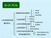 華師大版科學八年級上冊第5章 人體的物質(zhì)和能量的轉(zhuǎn)化 復習課件