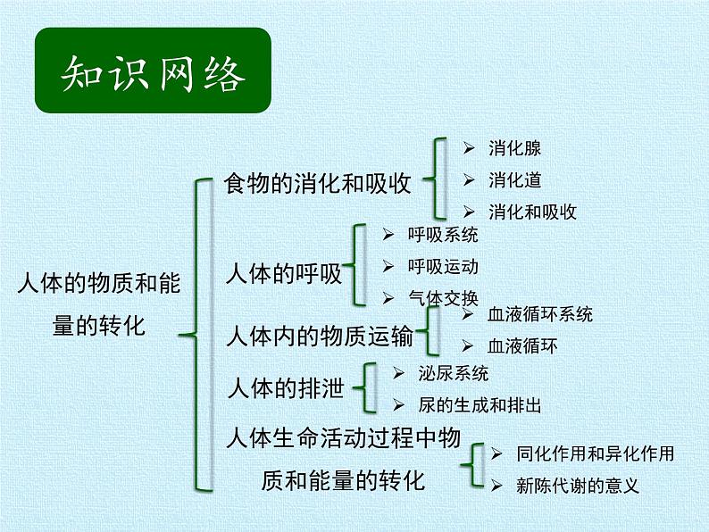 华师大版科学八年级上册第5章 人体的物质和能量的转化 复习课件第2页