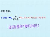 華師大版科學八年級上冊第5章 人體的物質(zhì)和能量的轉(zhuǎn)化 復習課件