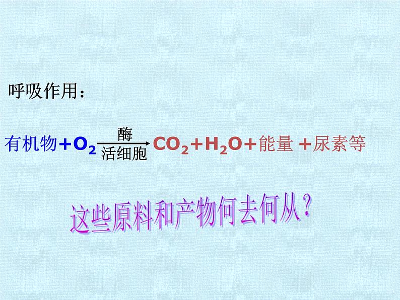 华师大版科学八年级上册第5章 人体的物质和能量的转化 复习课件第3页