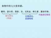 華師大版科學八年級上冊第5章 人體的物質(zhì)和能量的轉(zhuǎn)化 復習課件