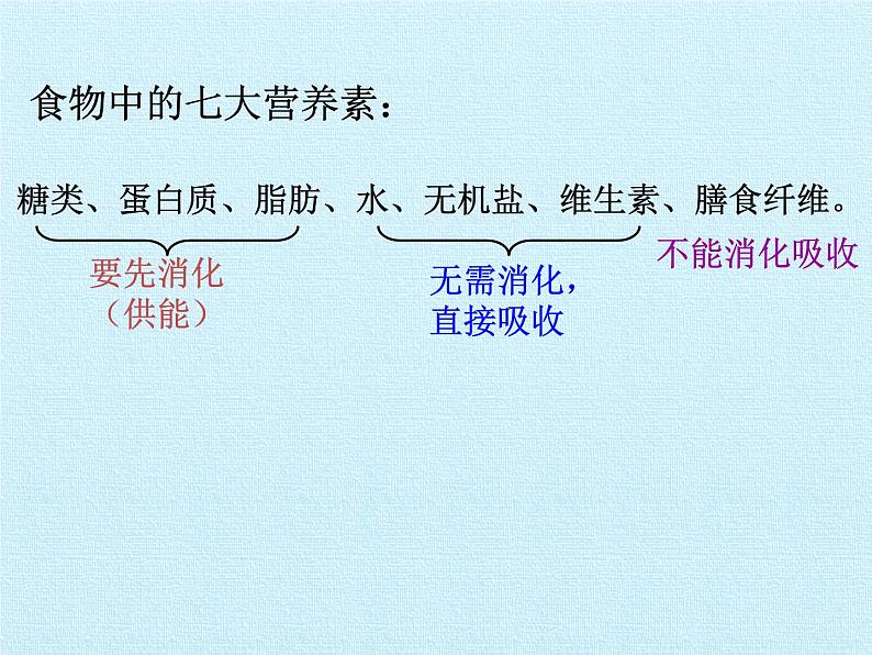 华师大版科学八年级上册第5章 人体的物质和能量的转化 复习课件第4页