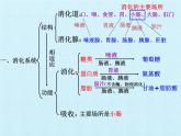 華師大版科學八年級上冊第5章 人體的物質(zhì)和能量的轉(zhuǎn)化 復習課件
