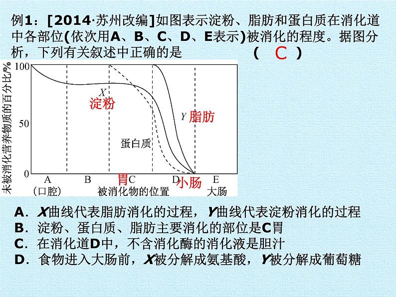 华师大版科学八年级上册第5章 人体的物质和能量的转化 复习课件第6页