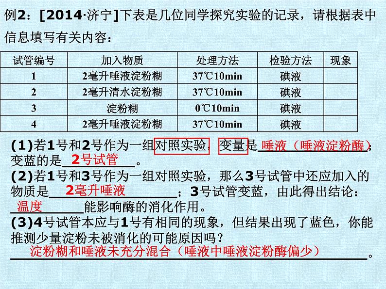 华师大版科学八年级上册第5章 人体的物质和能量的转化 复习课件第8页