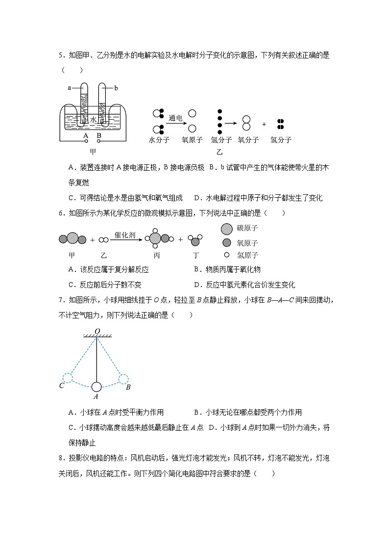 2024年浙江省宁波市山海联盟联考二模初中科学试题02