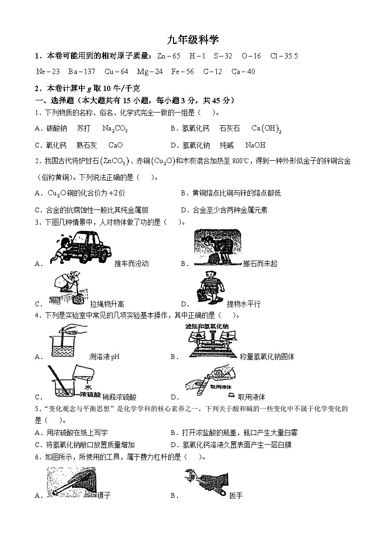 浙江省杭州市实验外国语学校2024-2025学年九年级上学期10月月考科学试题(无答案)第1页