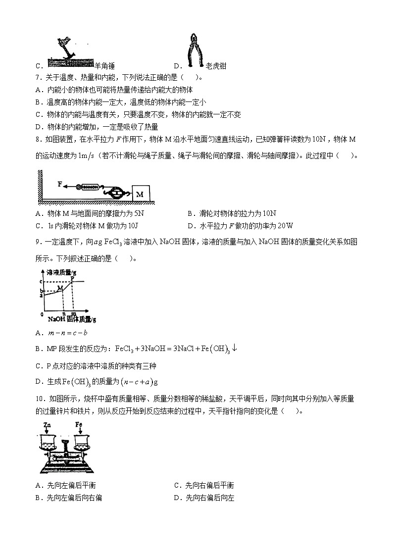 浙江省杭州市实验外国语学校2024-2025学年九年级上学期10月月考科学试题(无答案)第2页