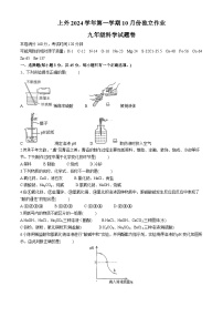 浙江省绍兴市上虞外国语学校2024-2025学年九年级上学期第一次月考科学试题(无答案)