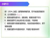 （浙教版2024）七年級(jí)上冊(cè)科學(xué)同步課件1-2科學(xué)測(cè)量（第2課時(shí)） 課件