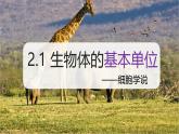 （浙教版2024）七年级上册科学同步课件2-1生物体的基本单位（第1课时） 课件
