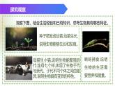 （浙教版2024）七年级上册科学同步课件2-1生物体的基本单位（第1课时） 课件