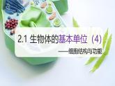（浙教版2024）七年级上册科学同步课件2.1 生物体的基本单位（第4课时） 课件
