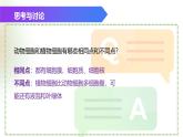 （浙教版2024）七年级上册科学同步课件2.1 生物体的基本单位（第4课时） 课件