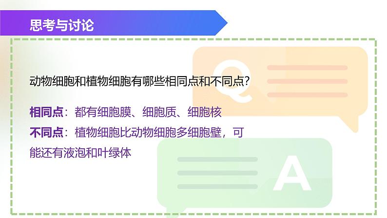 （浙教版2024）七年级上册科学同步课件2.1 生物体的基本单位（第4课时） 课件第4页