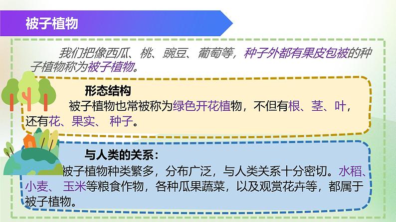 （浙教版2024）七年级上册科学同步课件2-2 形形色色的植物（第2课时） 课件第8页