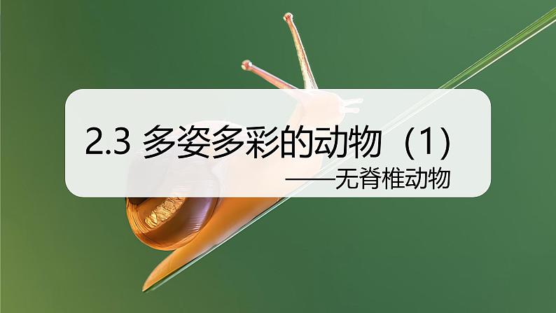 （浙教版2024）七年级上册科学同步课件2-3 多姿多彩的动物（第1课时）课件第1页