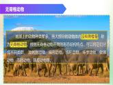 （浙教版2024）七年级上册科学同步课件2-3 多姿多彩的动物（第1课时）课件